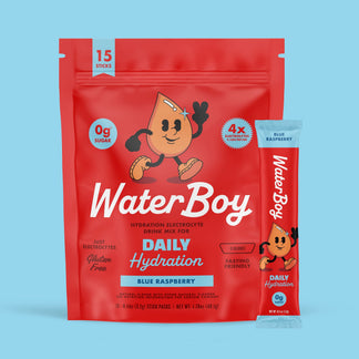 Blue Raspberry Hydration Stick Daily Hydration – Waterboy
